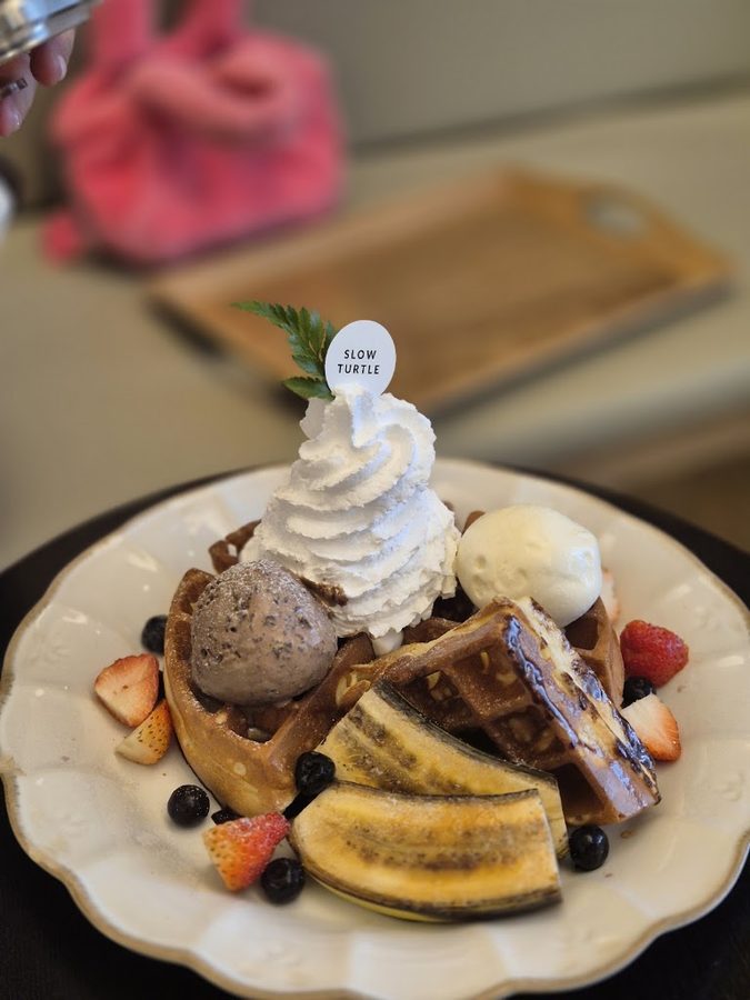 スロータートル薬田骨目店