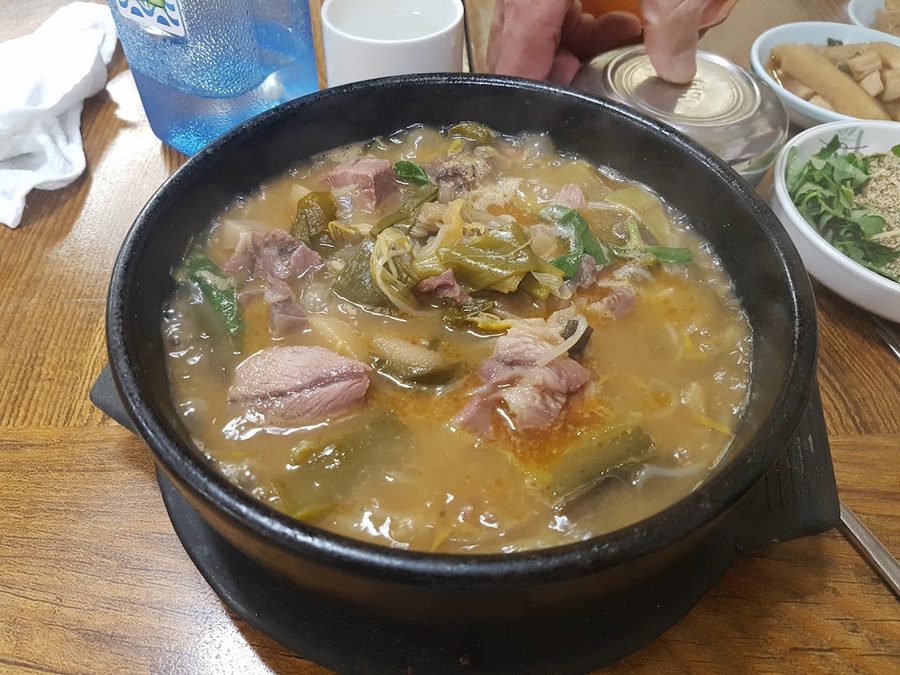 느티나무집