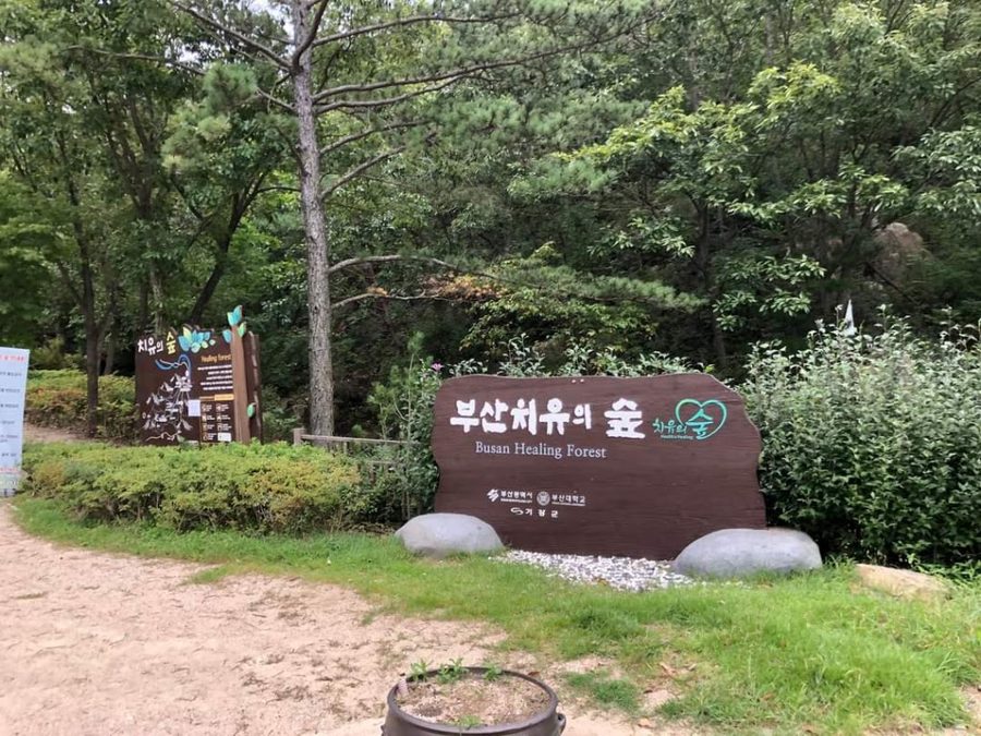 釜山治癒の森