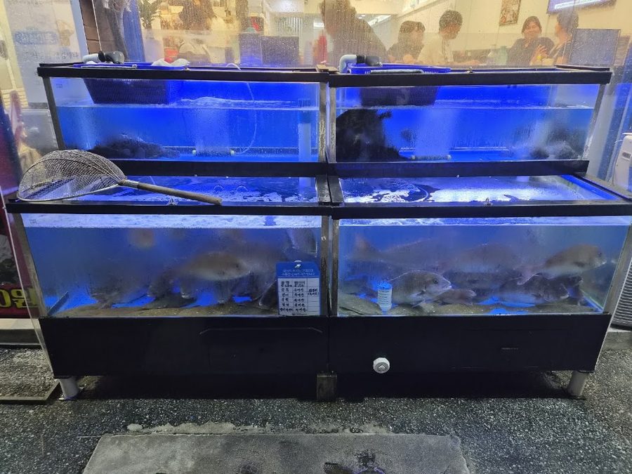 Samsaminae Gyeongpodae Main Branch