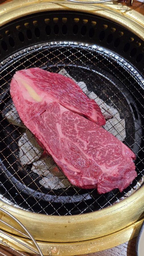 シンデマウル