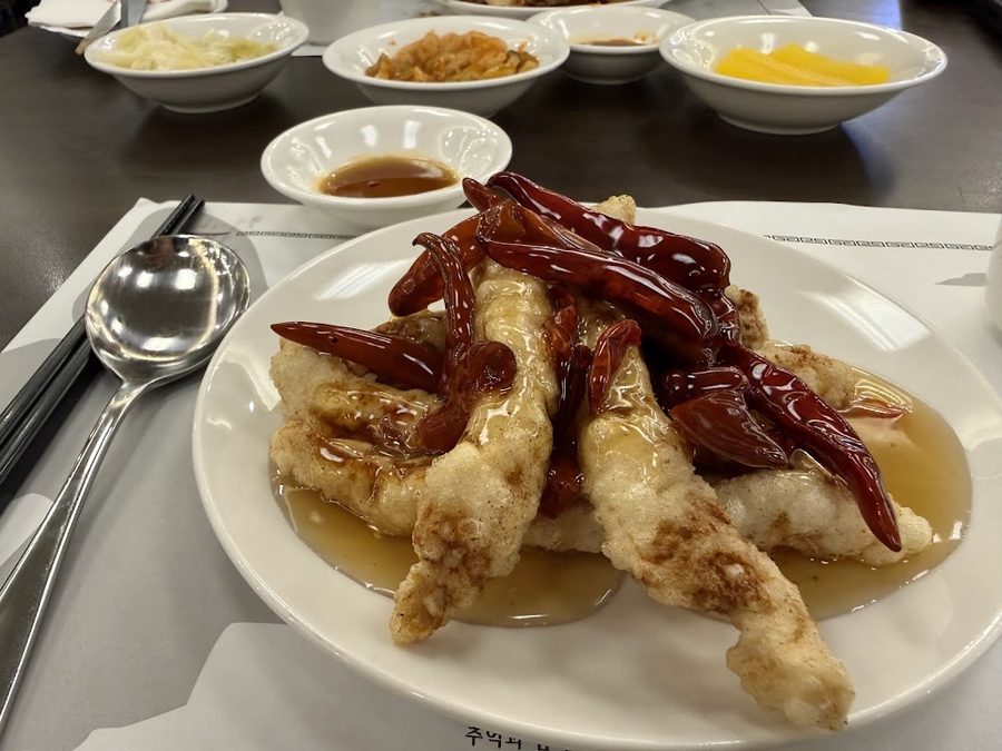 외래향