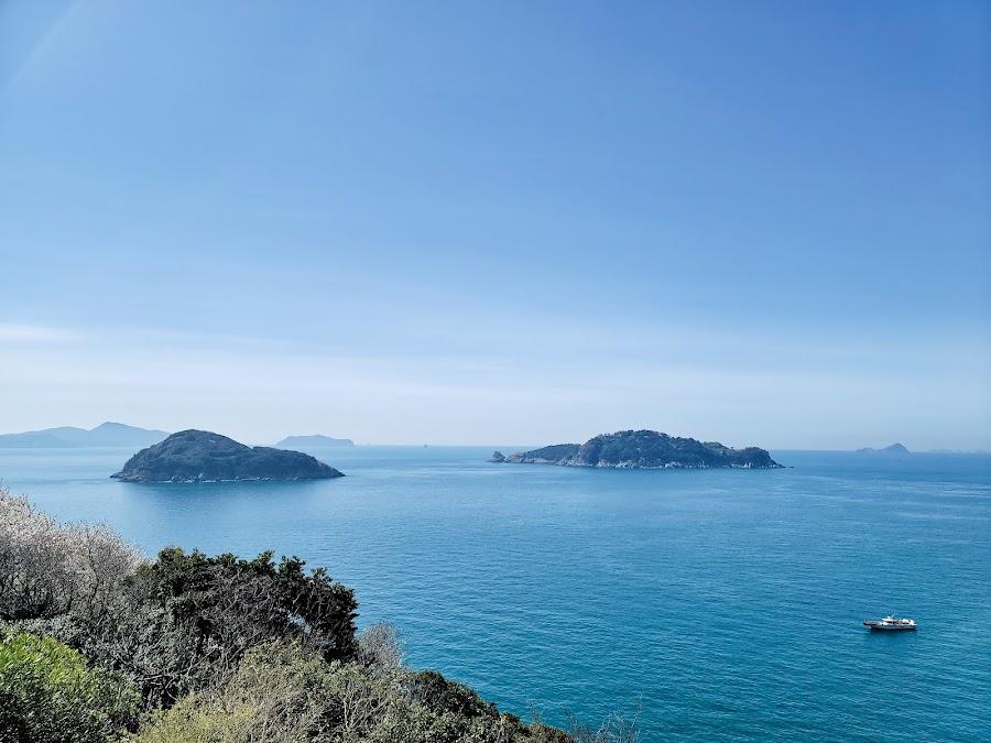 長蛇島海上公園 カメリア