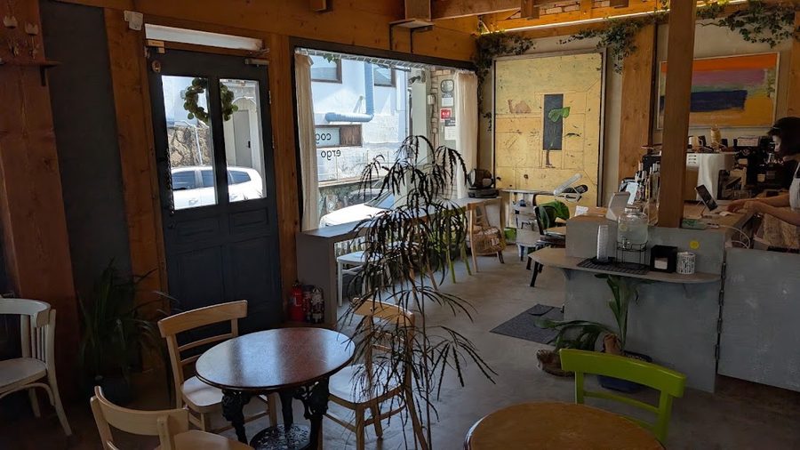 cafe cogito,