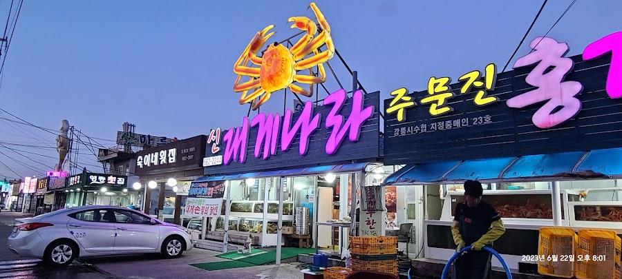 신대게나라