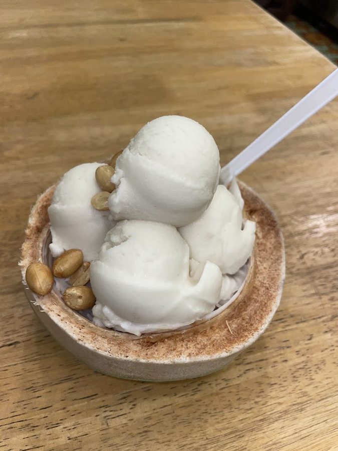 MOLTHIP Coconut Ice Cream