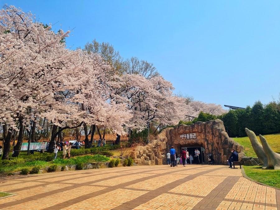 こども大公園