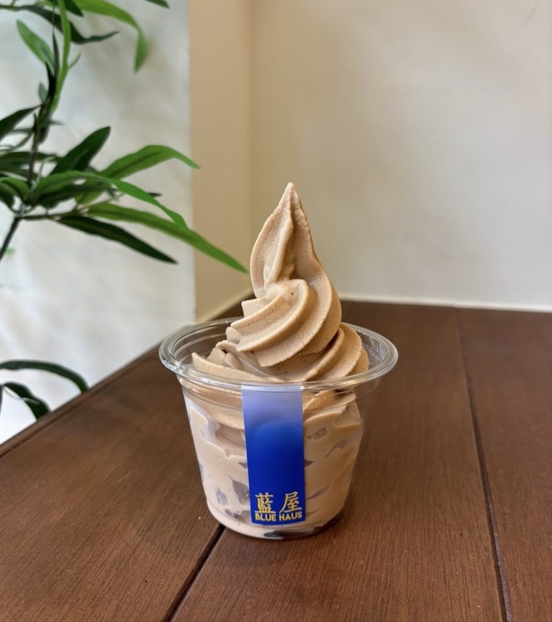 CAFE BLUEHAUS Seogwipo