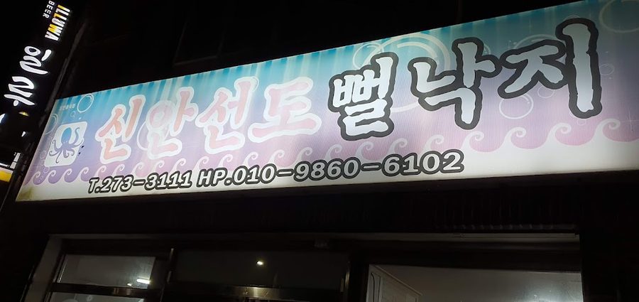 新安仙島泥灘章魚