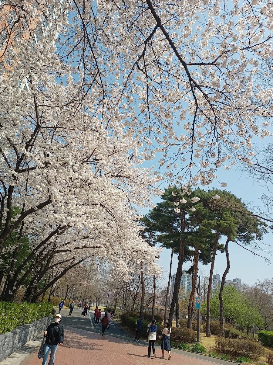 永登浦公園