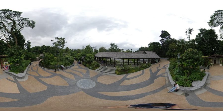 Singapore Botanic Gardens Learning Forest