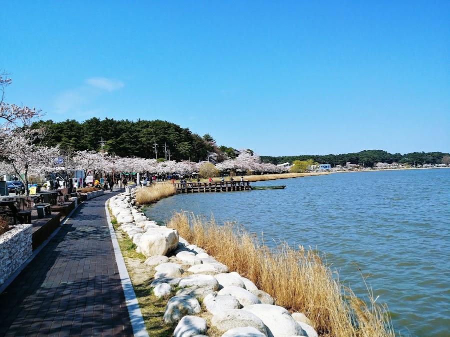江陵鏡浦湖