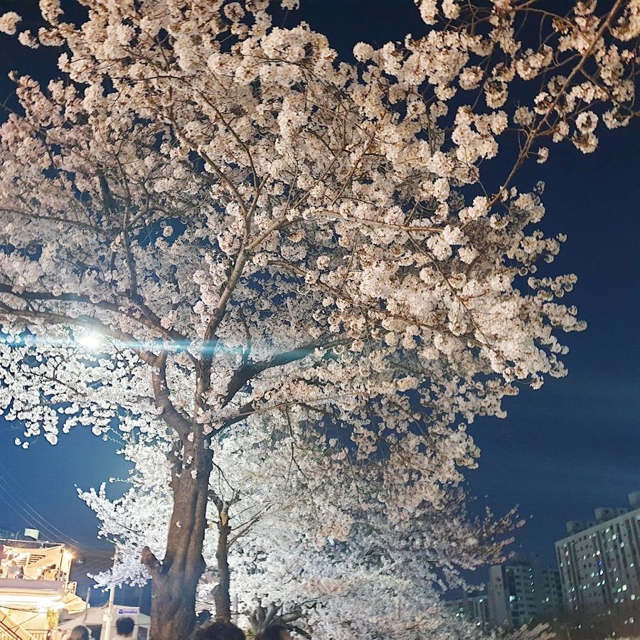 ナクミン公園