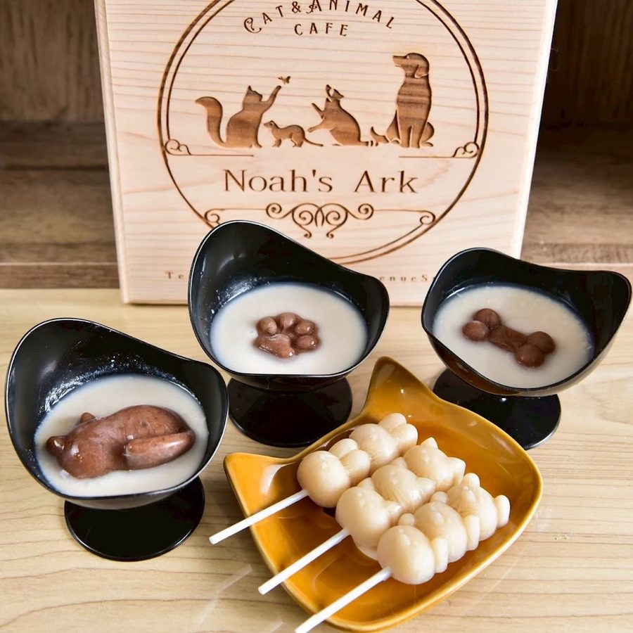 Cat＆Animal Cafe Noah's Ark 祇園店