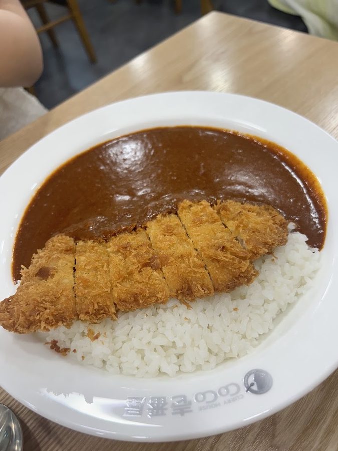 ココイチバンヤ カンナム駅店