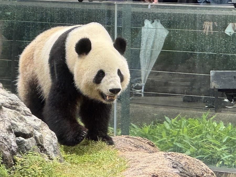 上野動物園