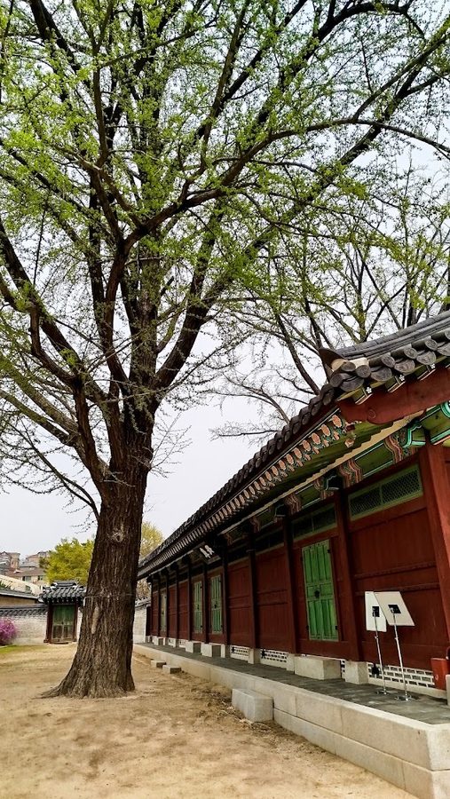 창덕궁 검서청