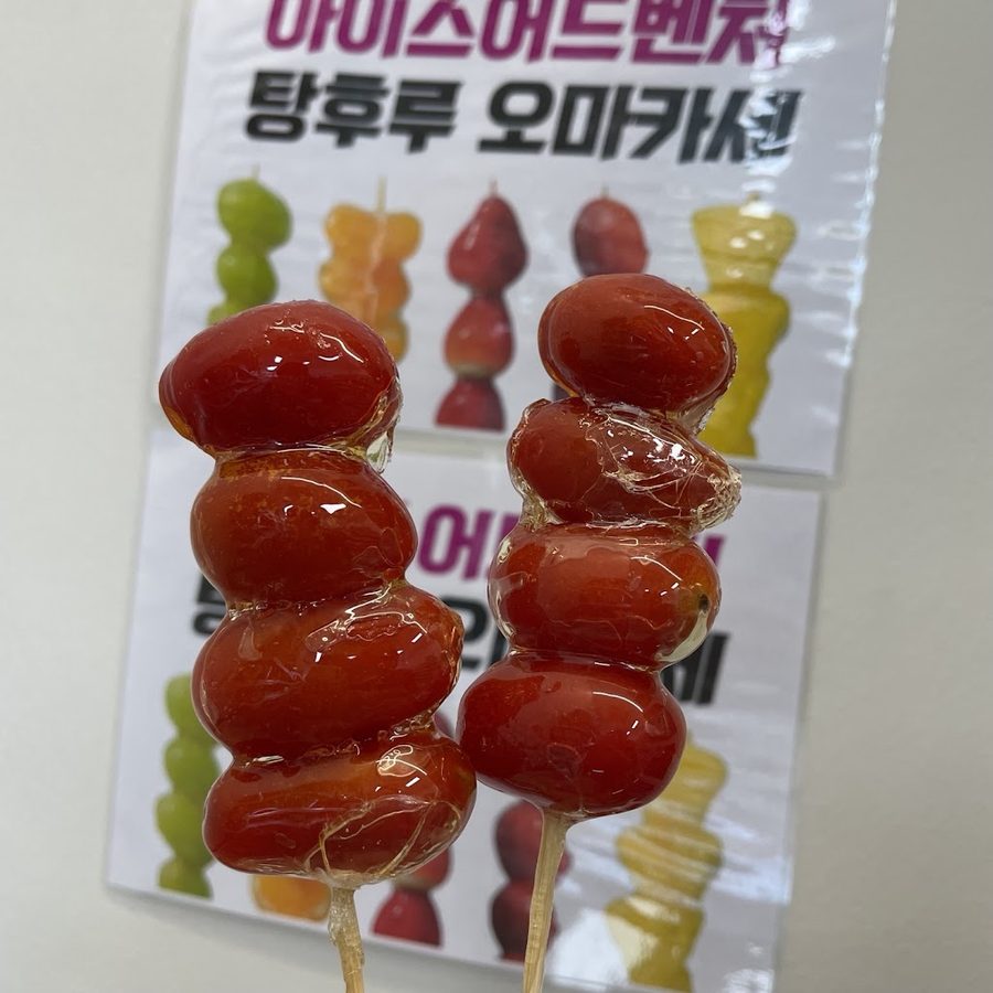 아이스어드벤처 만리점