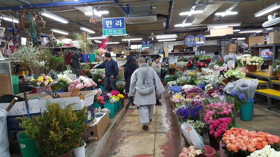 Daegu Flower Department Store