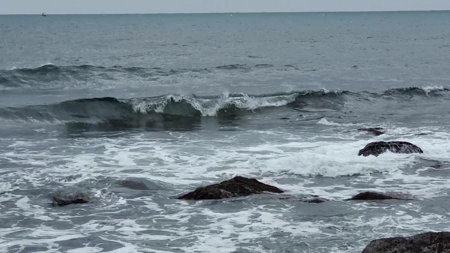 牛島