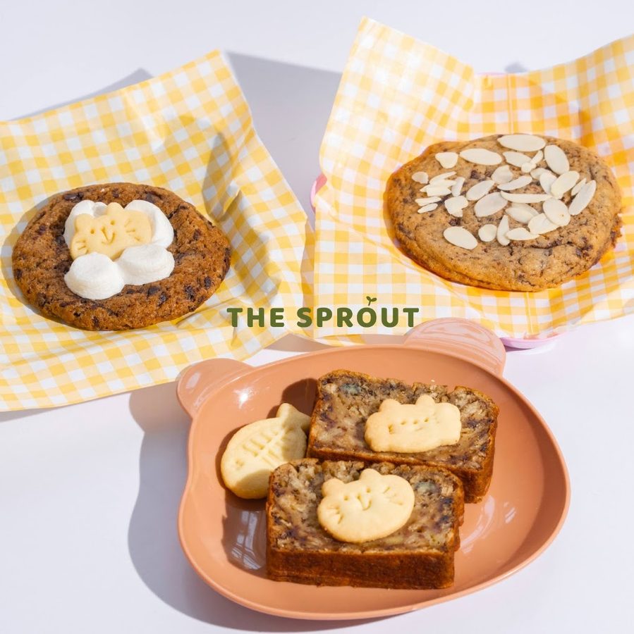The Sprout - Workshop, Drinks and Dessert