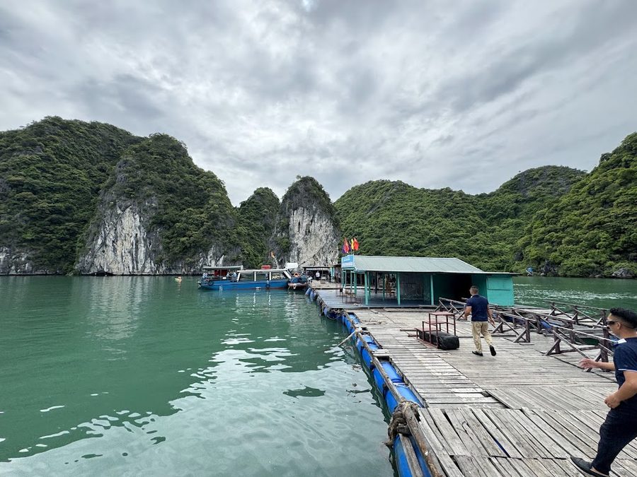 Catherine Cruises