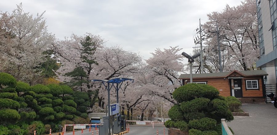 Jeongnip Hall