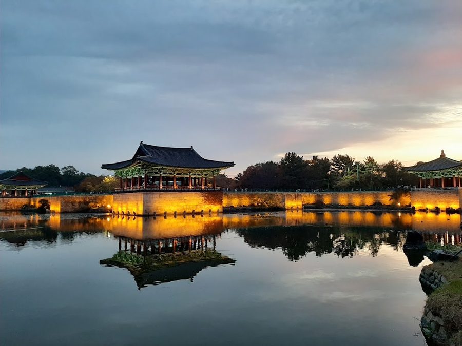 Gyeongju Lotus Complex