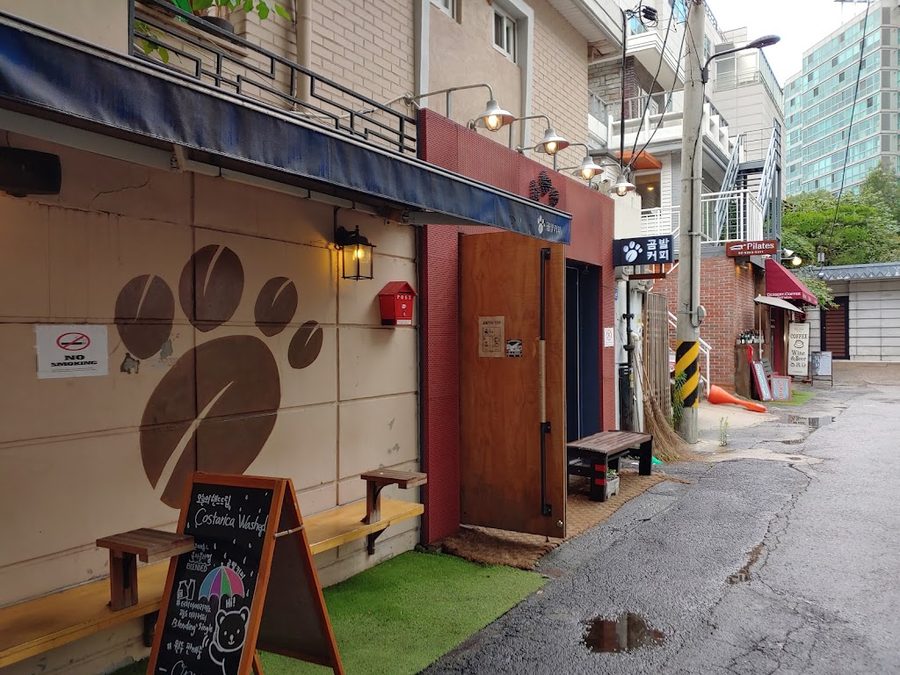 곰발커피