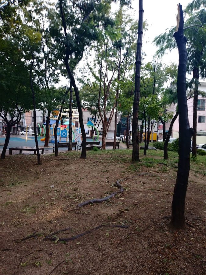 Dongpyeong Park