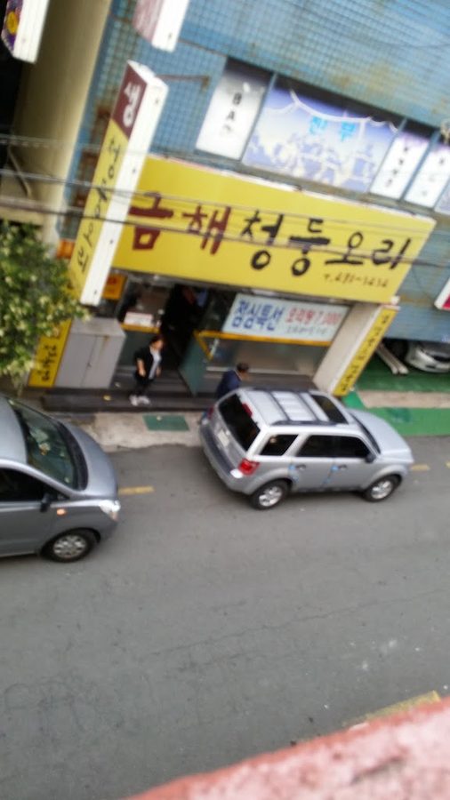 금해청둥오리