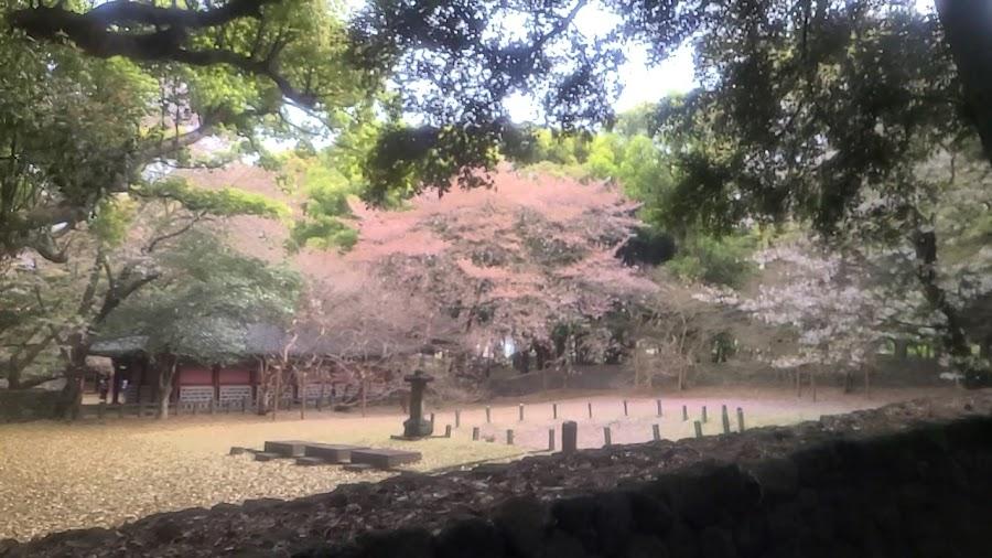 三姓穴