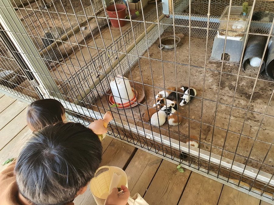 水安堡昆蟲博物館