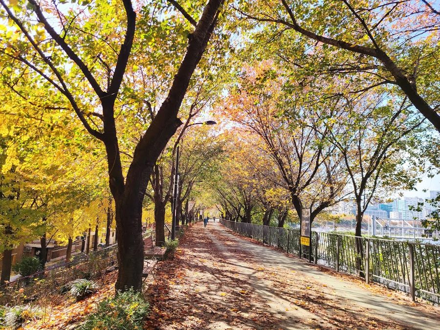 Songjeong Dike Park