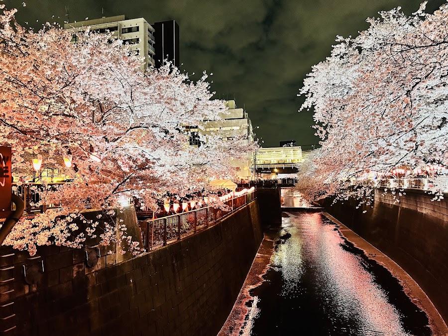 中目黑公園