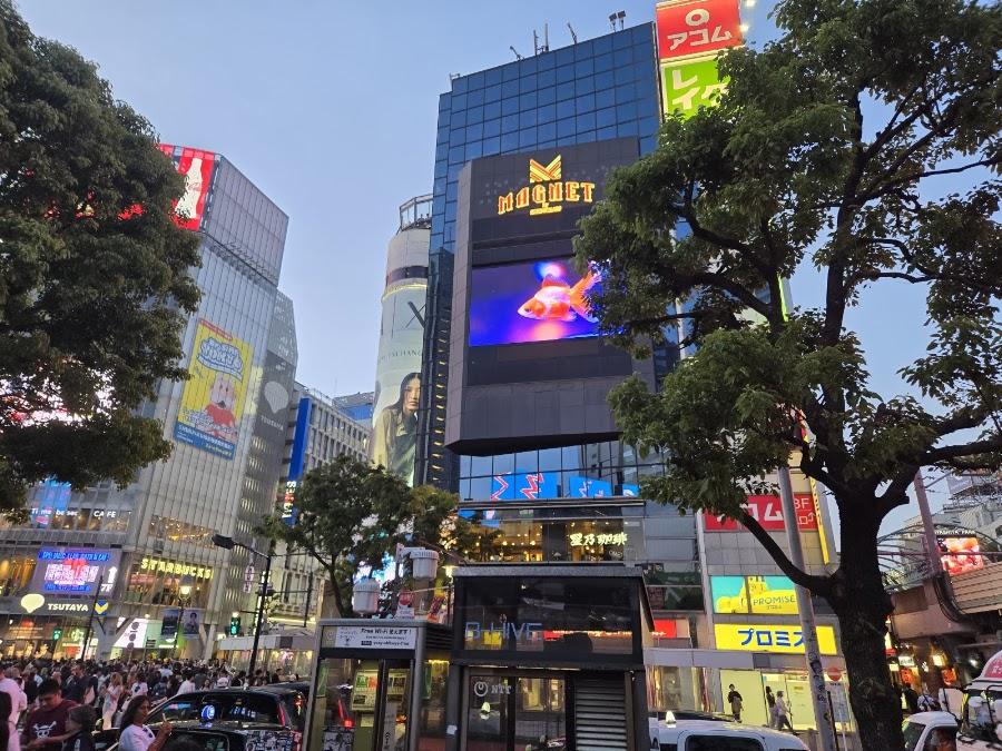 SHIBUYA109