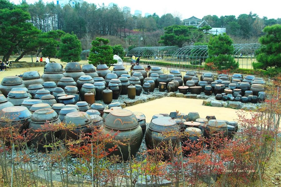 중외공원 운동장