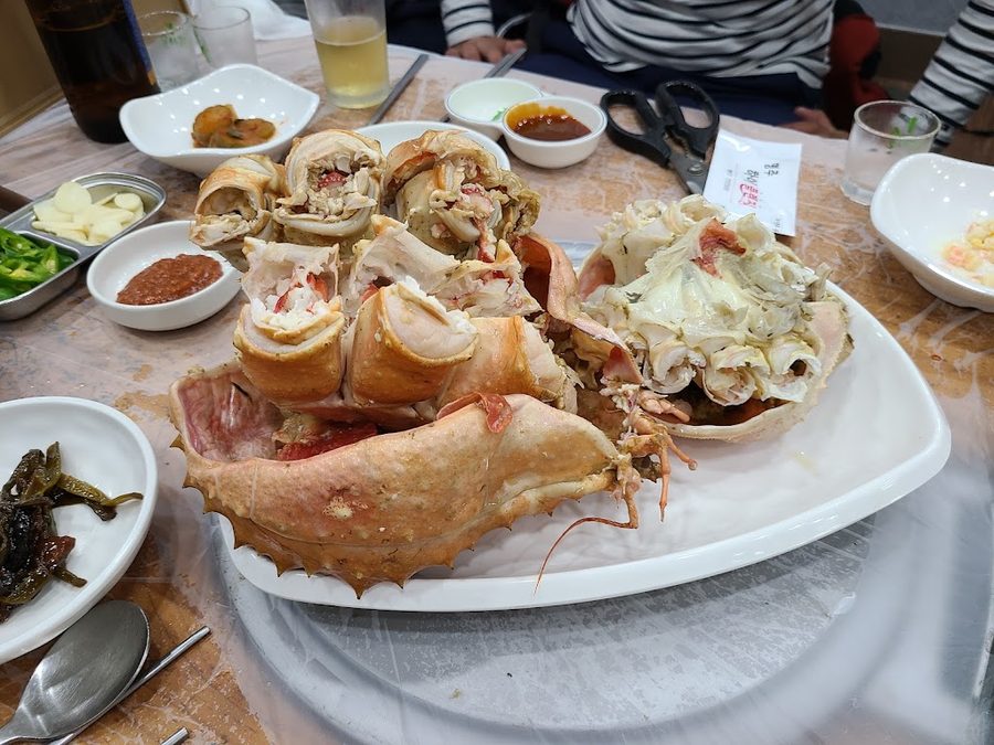 テシンスサンフェジプ