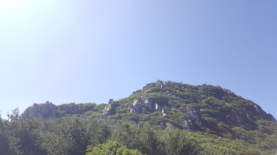 금샘