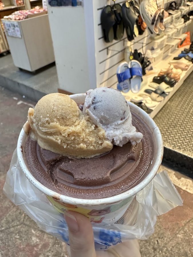 台湾手作水果氷淇淋