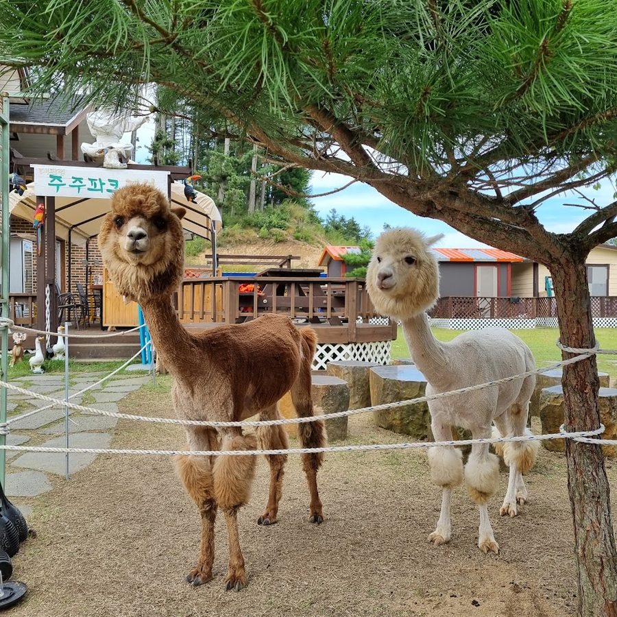 Daegwallyeong Juju Park