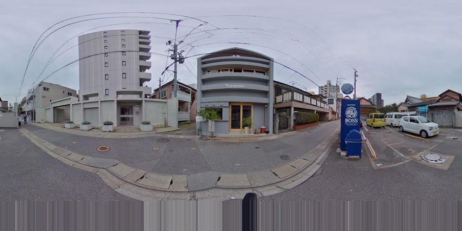 야키토리 토리보시
