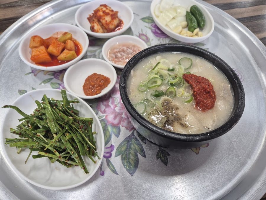 천일돼지국밥