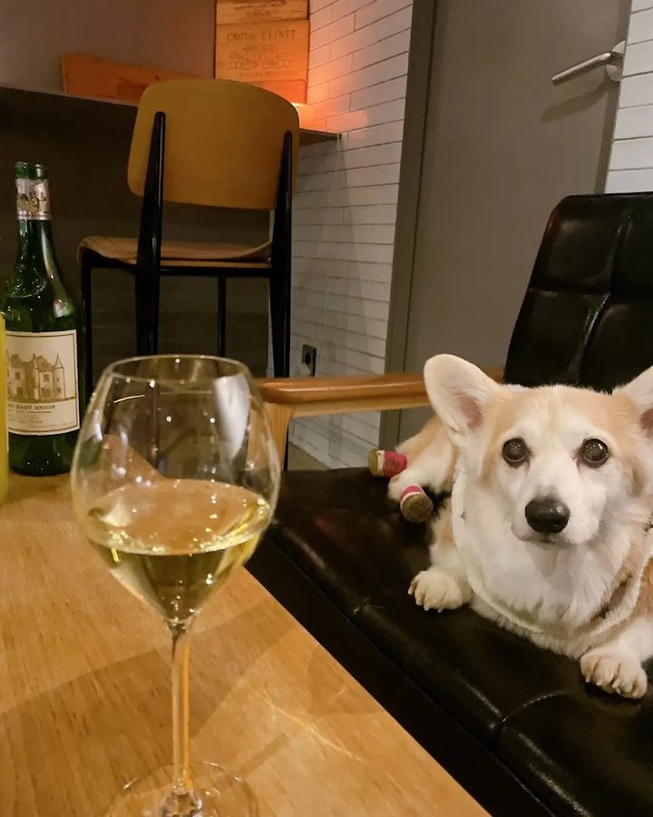 Winebar Nico Somm 니코쏨