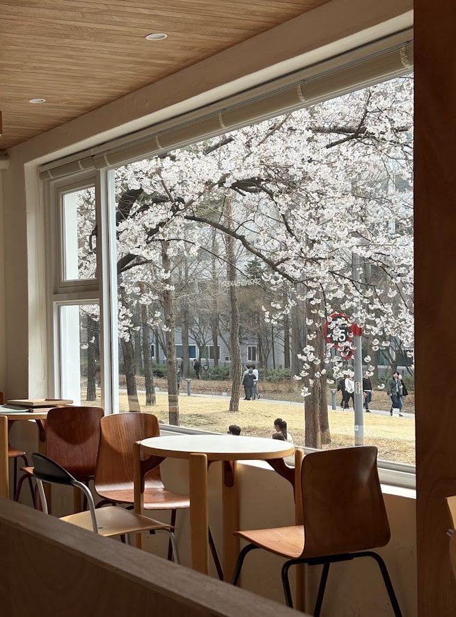 Spring Bakery