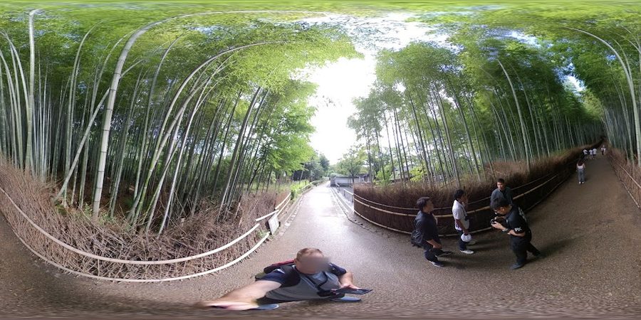 bamboo - Higashiyama Sanjō