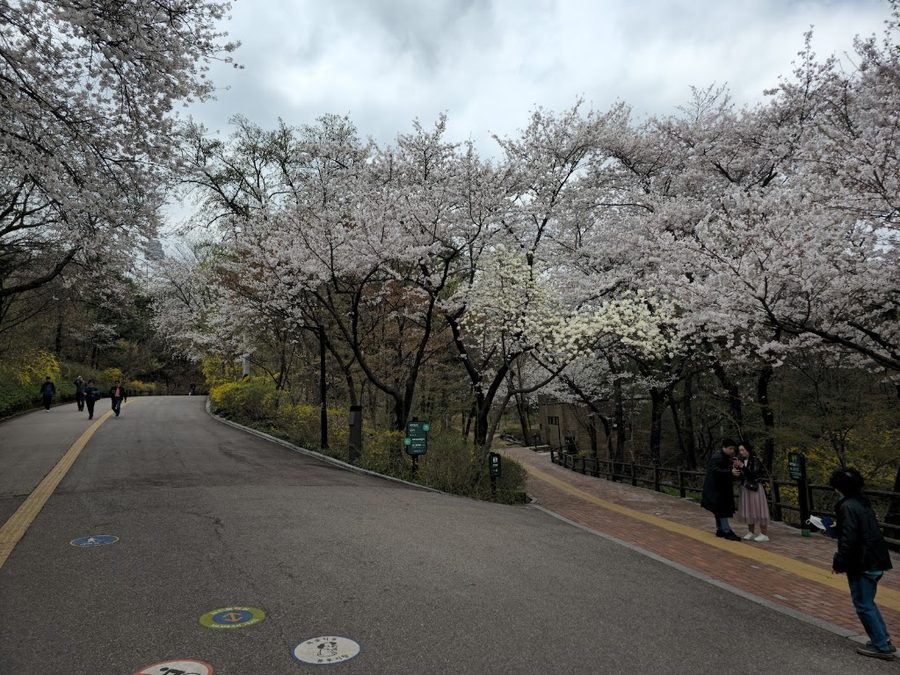 남산둘레길