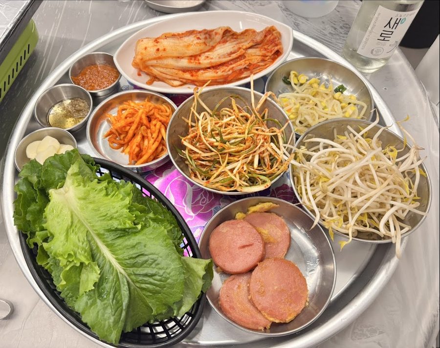 Namsanjib