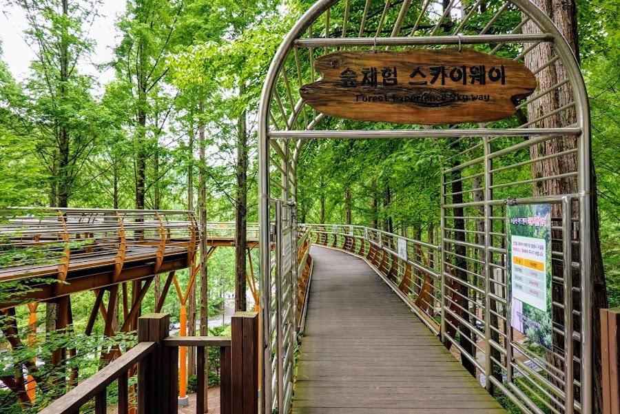 Jangtesan Recreational Forest