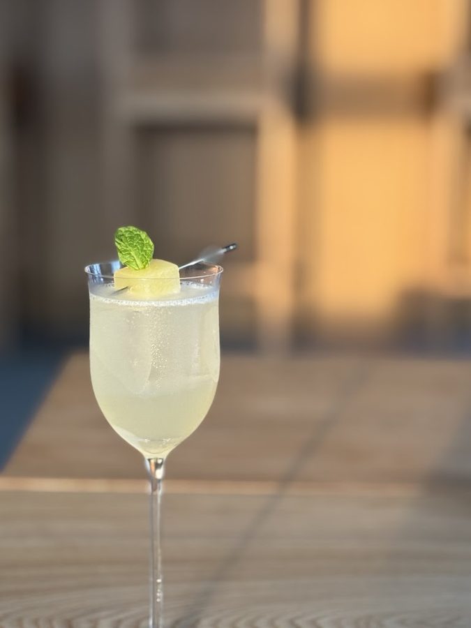 Bar Pivot
